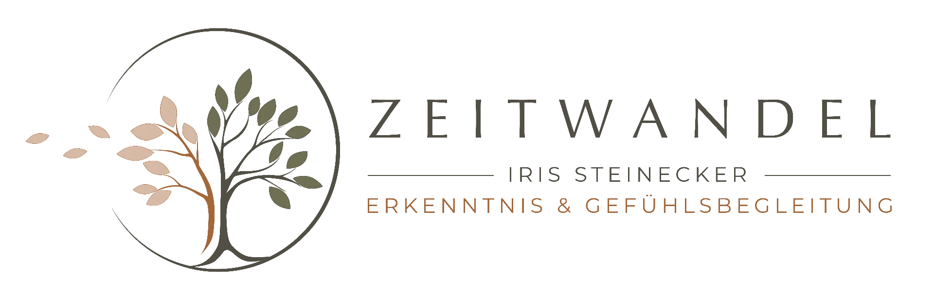 Zeitwandel Detmold – Iris Steinecker