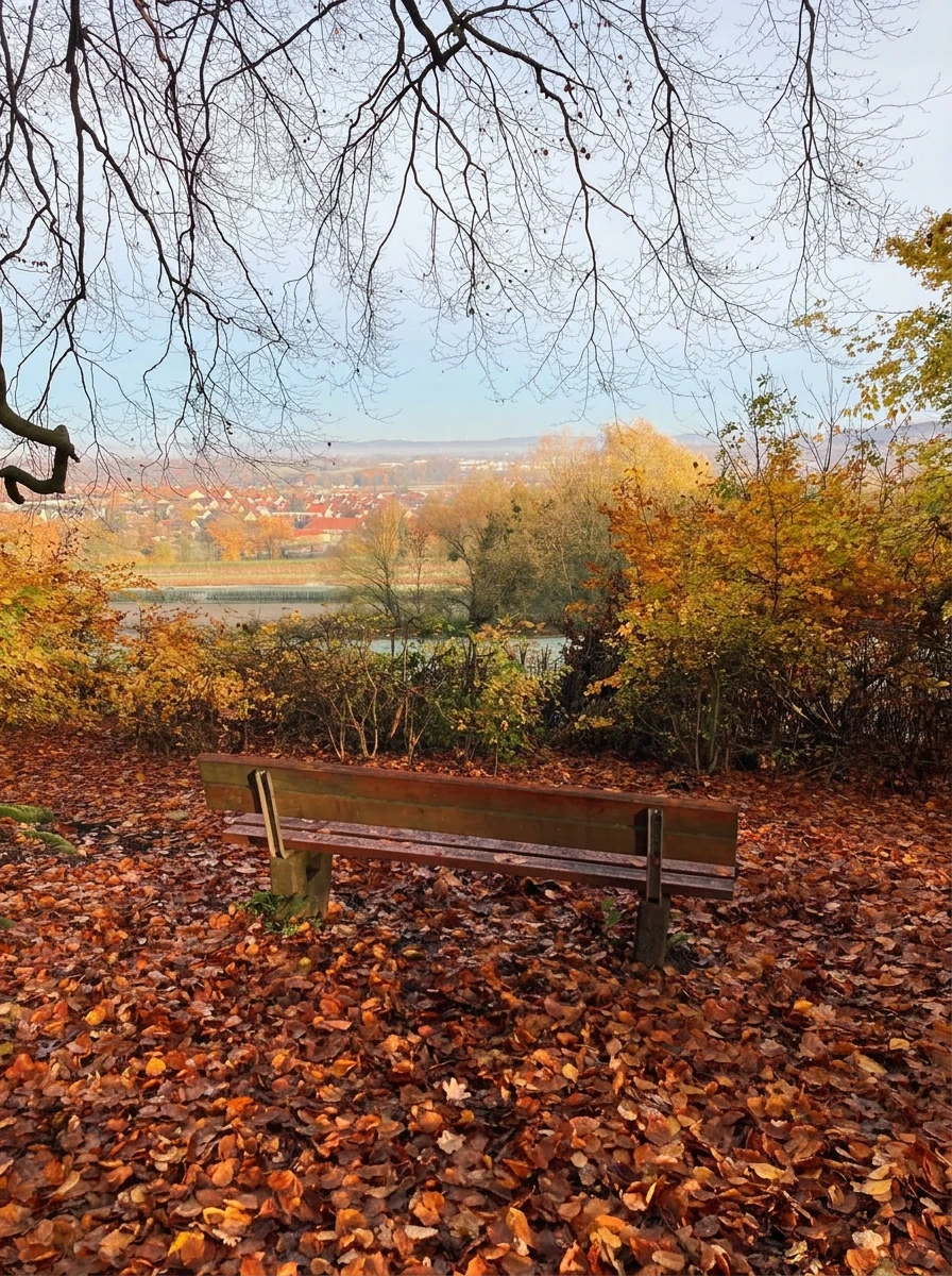 Holzbank im herbstlichen Laub mit Blick über das Tal